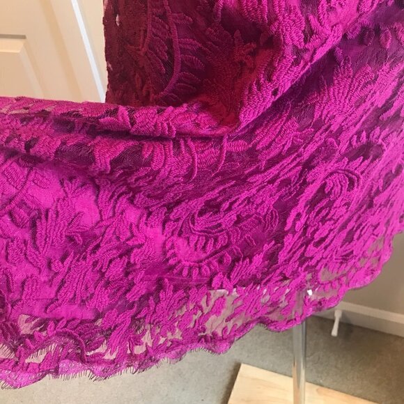 Adrianna Papell Fushia Pink Embroidered Lace Dress Fit & Flare Size US  6 EU 38 - Picture 6 of 8